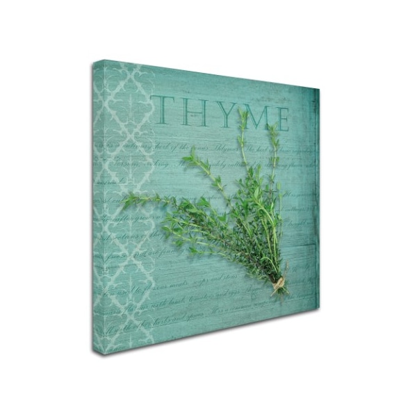 Cora Niele 'Classic Herbs Thyme' Canvas Art,18x18